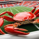 Raków stadion: Nowy piłkarski obiekt w Częstochowie na terenie Elanexu